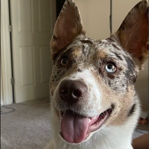 MALE AND FEMALE CLOTHING!